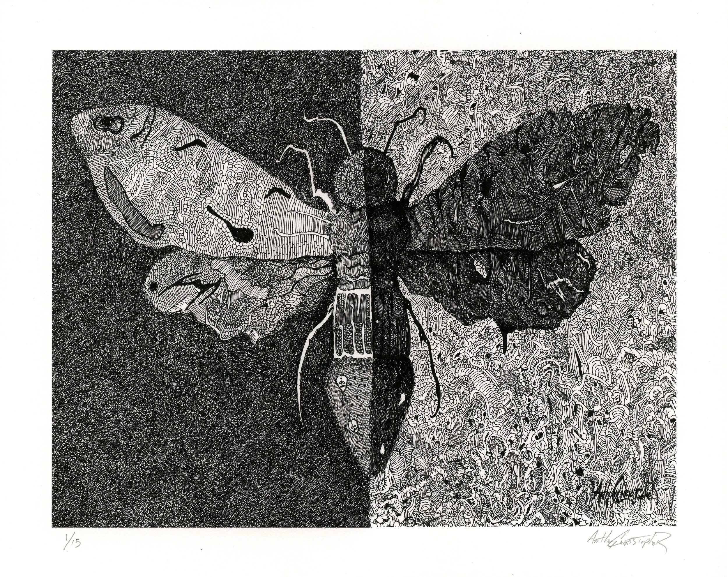2 Tone Moth Print. Edition of 15. (11x14